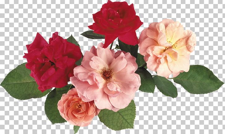 Cut Flowers Rose Artificial Flower PNG, Clipart, Annual Plant, Artificial Flower, Azalea, Floral Design, Floristry Free PNG Download