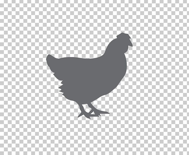 Orpington Chicken Barbecue Chicken Broiler Poultry PNG, Clipart, Barbecue, Barbecue, Beak, Bird, Black And White Free PNG Download