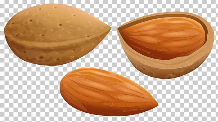 Almond Nut PNG, Clipart, Almond, Almond Oil, Food, Food Drinks, Frugra Free PNG Download