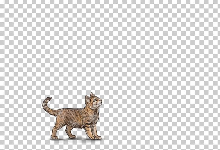 Cat Tiger Lion Terrestrial Animal Wildlife PNG, Clipart, Animal, Animal Figure, Big Cats, Carnivoran, Cat Free PNG Download