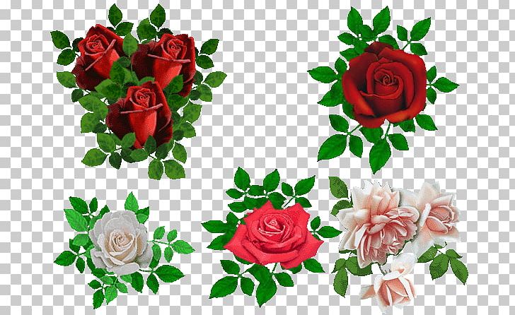 Garden Roses Beach Rose Rosa Chinensis Flower PNG, Clipart, Artificial Flower, Blog, Childrens Day, Creative Background, Day Free PNG Download