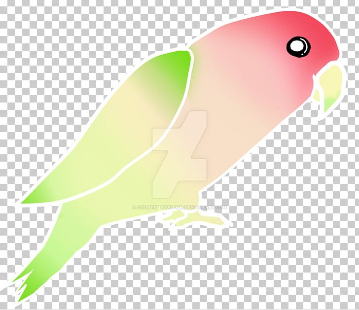 Lovebird Parakeet Feather Beak PNG, Clipart, Animals, Beak, Bird, Common Pet Parakeet, Fauna Free PNG Download
