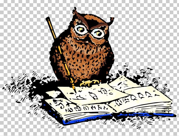 Owl Drawing Portable Network Graphics Illustration PNG, Clipart, Beak, Bird, Bird Of Prey, Brand, Cartoon Free PNG Download