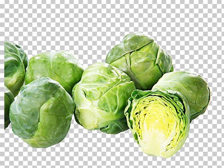 Brussels Sprout Collard Greens Capitata Group Spring Greens Leaf Vegetable PNG, Clipart, Allium Fistulosum, Brussels Sprouts, Cabbage, Capitata Group, Cauliflower Free PNG Download