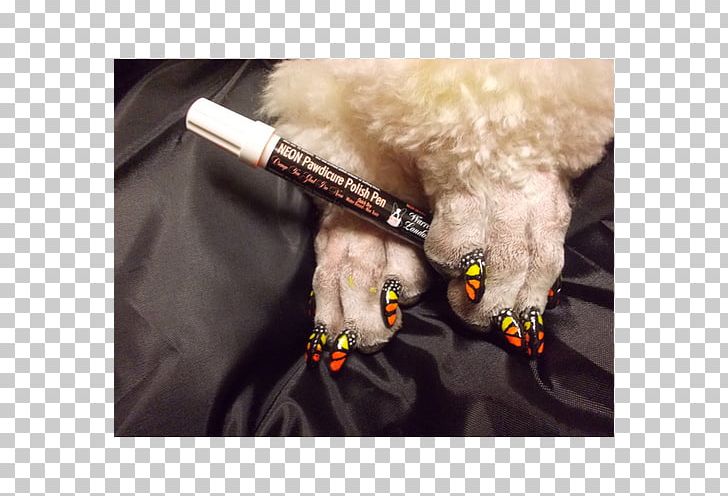 Dog Nail Art Nail Polish Nail Salon PNG, Clipart, Animals, Art, Artificial Nails, Beauty, Beauty Parlour Free PNG Download