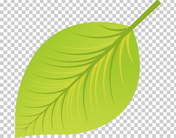 Green Leaf Euclidean PNG, Clipart, Color, Creative Green, Fall Leaves, Free Vector, Green Leaves Free PNG Download