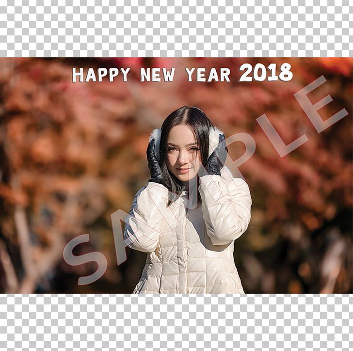 Post Cards New Year Wish Postcard News PNG, Clipart, Calendar, Com, Fur, Girl, Greeting Free PNG Download