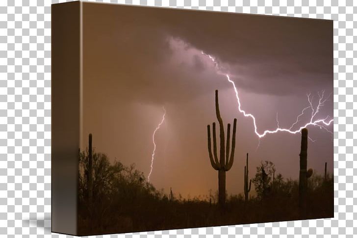 Sonoran Desert Lightning Southwestern United States Thunderstorm PNG, Clipart, Arizona, Arizona Desert, Art, Desert, Energy Free PNG Download
