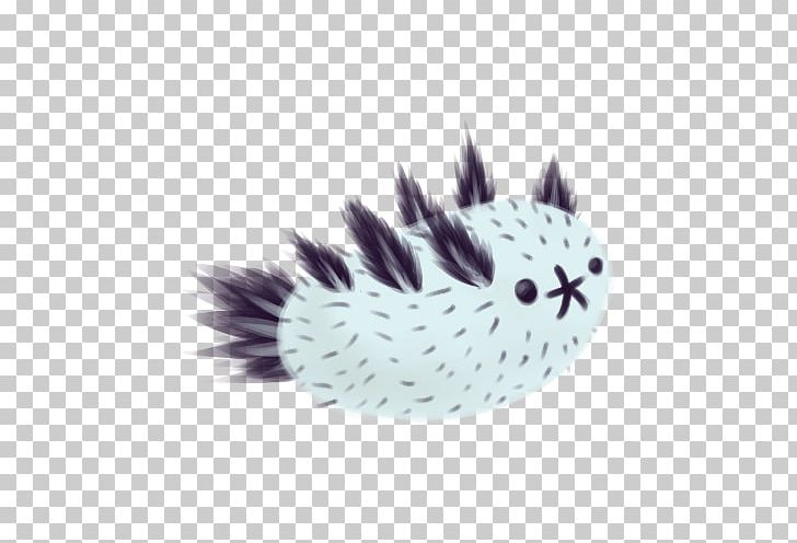 Whiskers Cat Hedgehog Fur Feather PNG, Clipart, Animals, Cat, Cat Like Mammal, Erinaceidae, Feather Free PNG Download