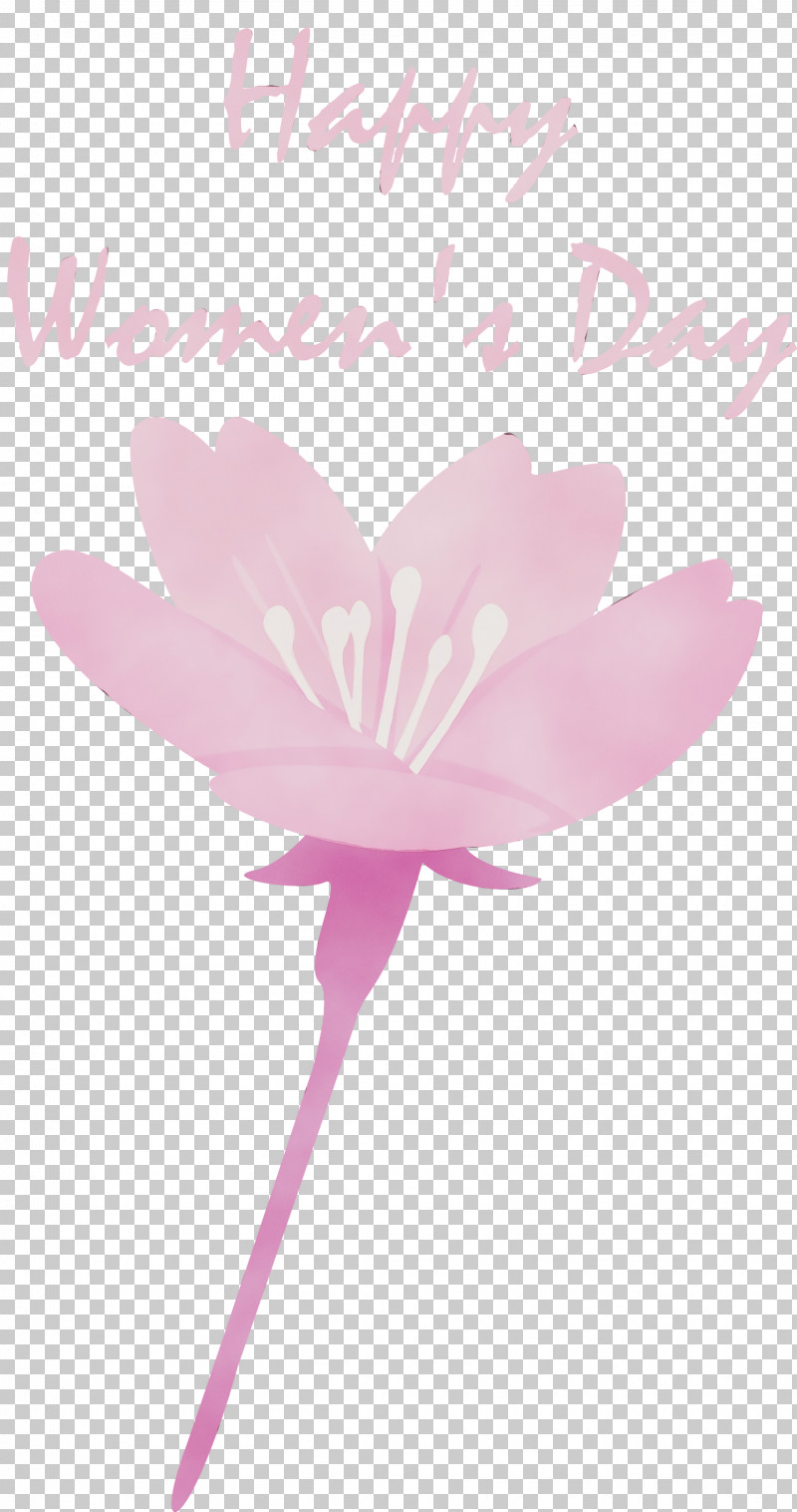 Petal Pink Flower Plant Aquatic Plant PNG, Clipart,  Free PNG Download