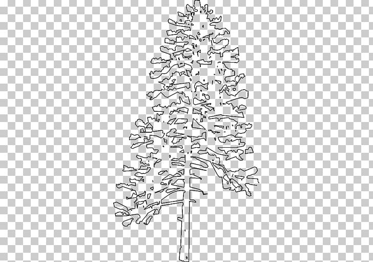Fir Spruce Christmas Tree Twig Line Art PNG, Clipart, Black And White, Branch, Christmas, Christmas Decoration, Christmas Tree Free PNG Download