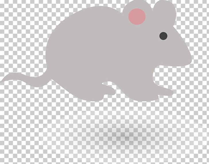 Rat Euclidean Drawing Illustration PNG, Clipart, Animals, Carnivoran, Color Chart, Computer Mouse, Fauna Free PNG Download
