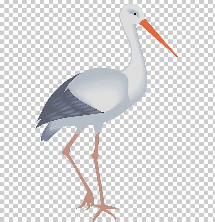 White Stork Bird Drawing Desktop PNG, Clipart, Animaatio, Animal Stork, Beak, Bird, Child Free PNG Download