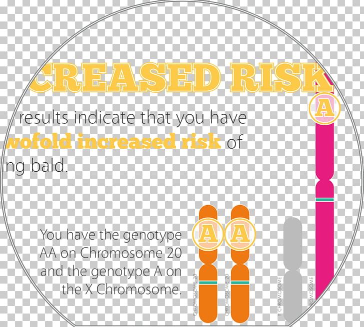 DNA Paternity Testing Genotype Genetic Marker Hair Loss PNG, Clipart, Area, Brand, Chromosome, Dna, Dna Paternity Testing Free PNG Download