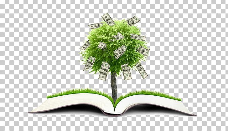 Money Coin Finance PNG, Clipart, Bank, Book, Books, Brand, Christmas Tree Free PNG Download