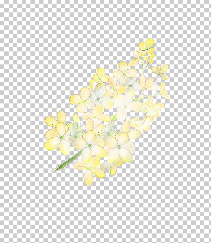 Yellow PNG, Clipart, Bouquet, Branch, Bunch, Bunch Of Flowers, Color Free PNG Download
