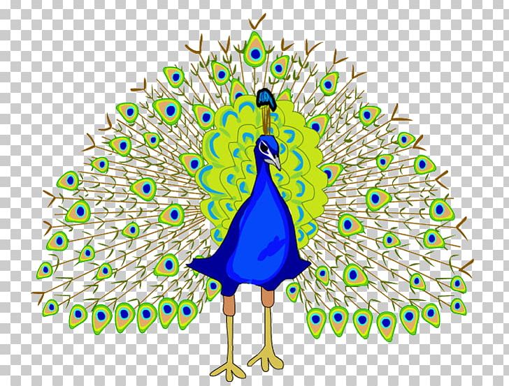 Asiatic Peafowl Pavo Feather Galliformes Turkey PNG, Clipart, Animal, Art, Asiatic Peafowl, Beak, Bird Free PNG Download