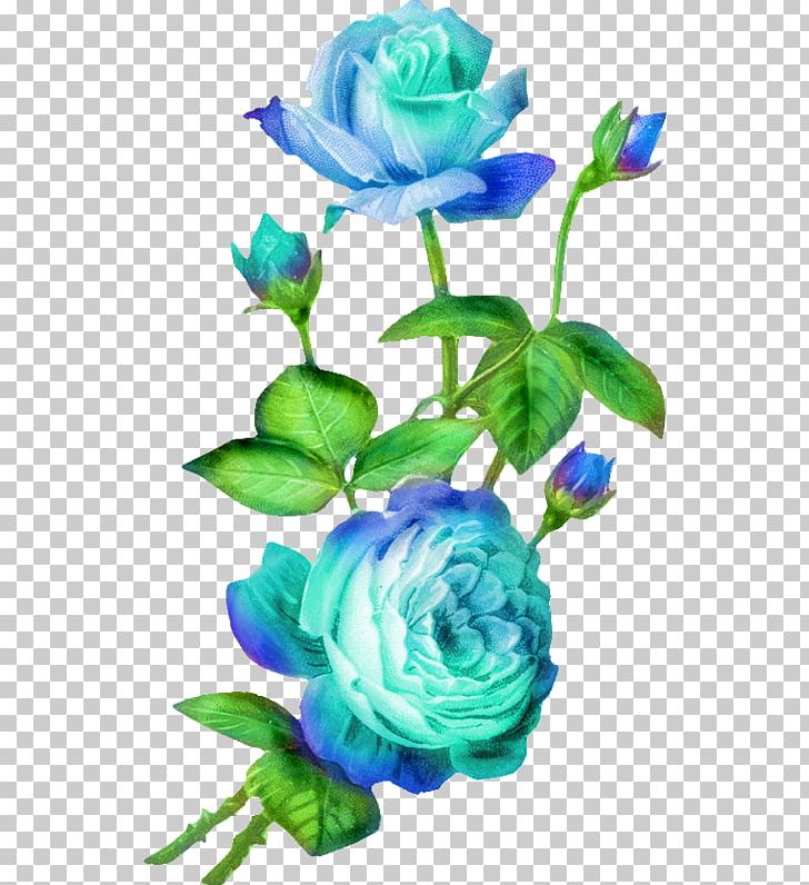 Cut Flowers Rose PNG, Clipart, Artificial Flower, Blue, Blue Rose, Color, Cut Flowers Free PNG Download
