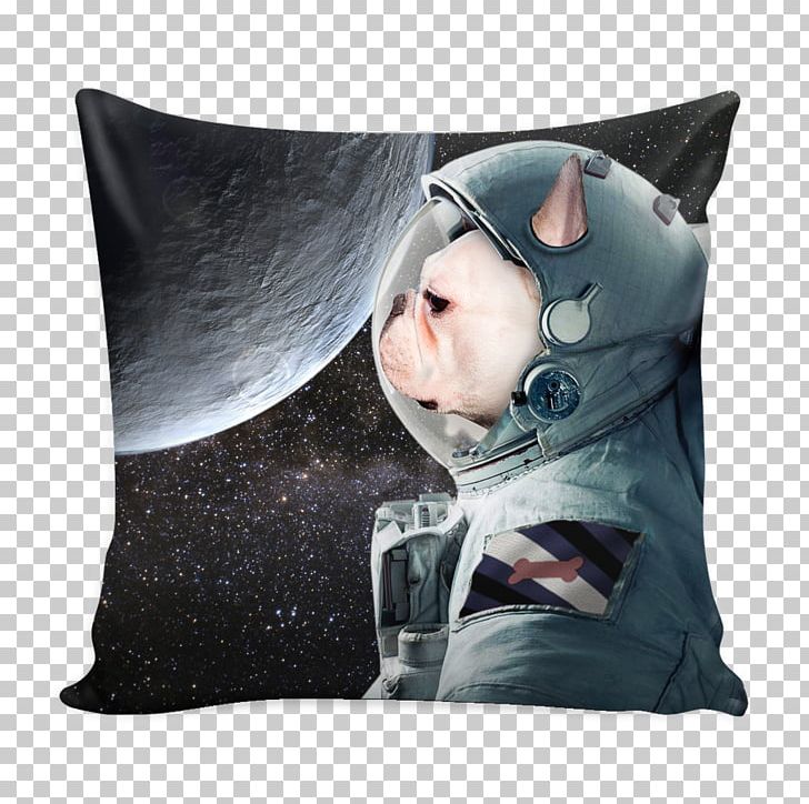 Endurance: A Year In Space PNG, Clipart, Cushion, Pillow, Snout, Textile, Throw Pillow Free PNG Download