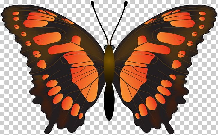 Monarch Butterfly Pieridae Insect Brush-footed Butterflies PNG, Clipart, Arthropod, Brush Footed Butterfly, Butterflies And Moths, Butterfly, Download Free PNG Download