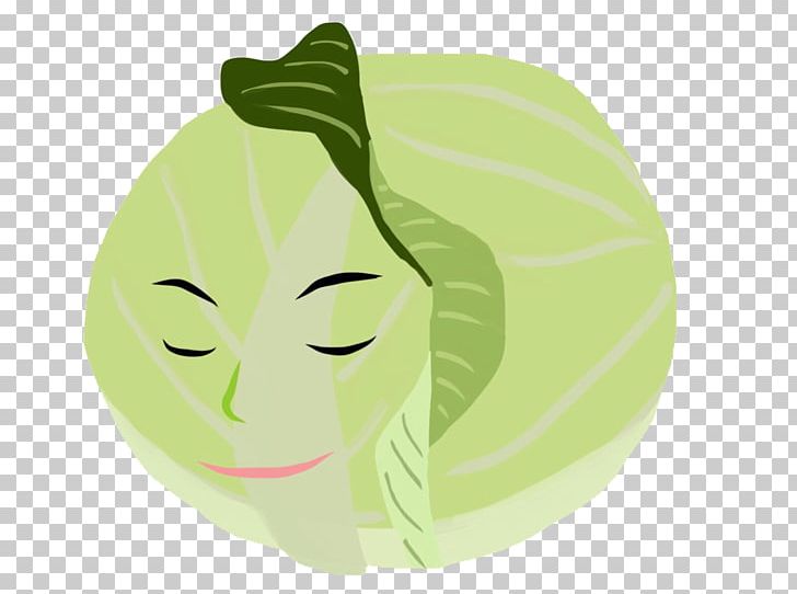 Cabbage Vegetable Cucurbita Melon Plant Stem PNG, Clipart, Apple, Brassica Oleracea, Cabbage, Cartoon, Cucurbita Free PNG Download