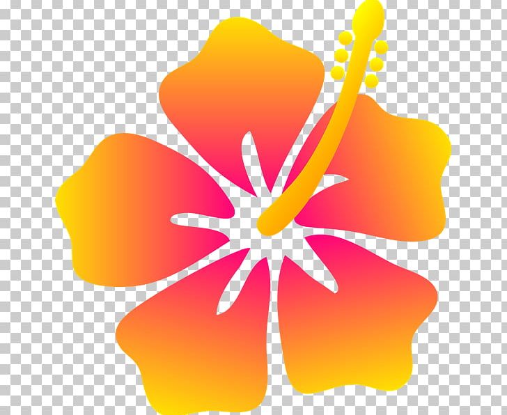 Hawaii Drawing Flower Floral Design PNG, Clipart, Cartoon, Coloring Book, Computer Wallpaper, Cut Flowers, Drawing Free PNG Download