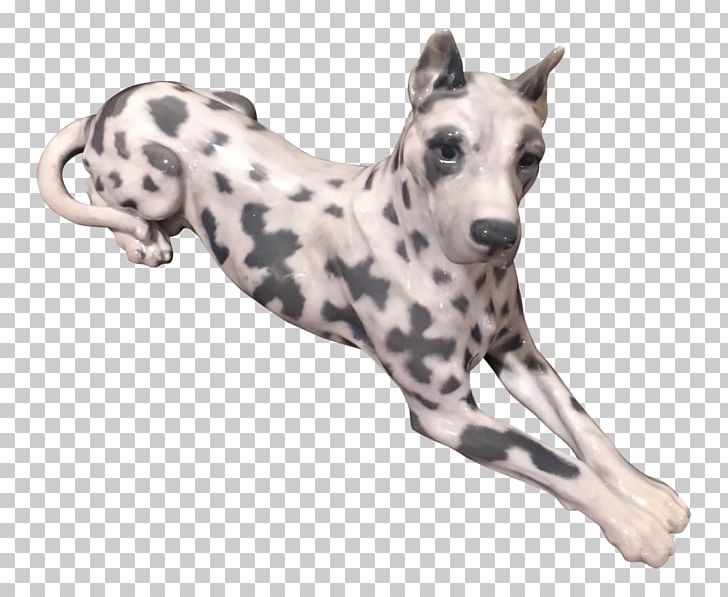 Dalmatian Dog Whippet Great Dane Dog Breed Italian Greyhound PNG, Clipart, Breed, Carnivoran, Chairish, Dalmatian, Dalmatian Dog Free PNG Download