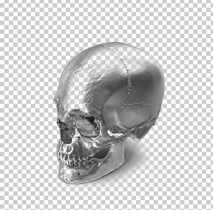 Skull Bone PNG, Clipart, Browser Extension, Chromium, Computer Icons, Computer Software, Decoration Free PNG Download