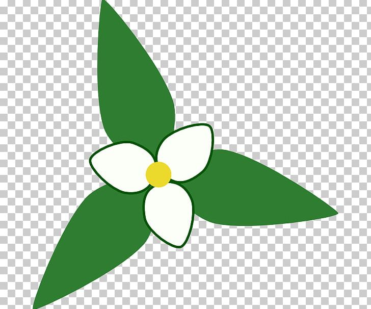 Great White Trillium Scalable Graphics Drawing PNG, Clipart, Artwork, Birthroots, Download, Drawing, Encapsulated Postscript Free PNG Download