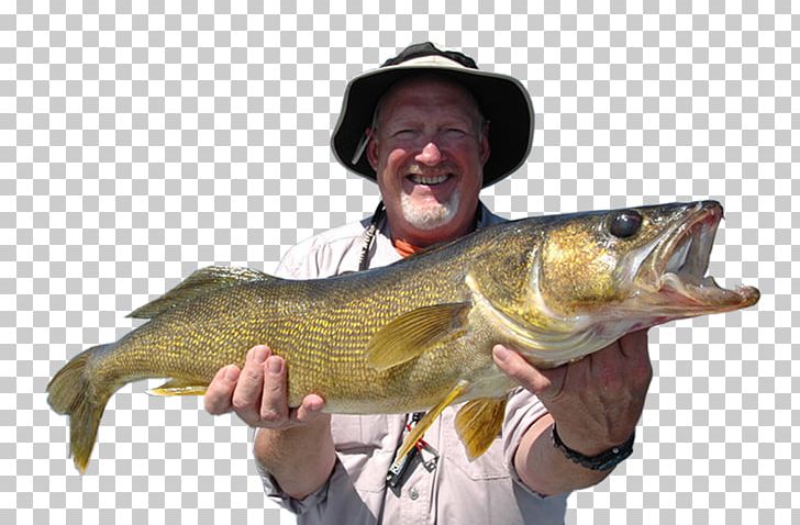 Northern Pike Cod 09777 Fishing Perch PNG, Clipart, 09777, Barramundi, Bass, Bass Guitar, Carp Free PNG Download