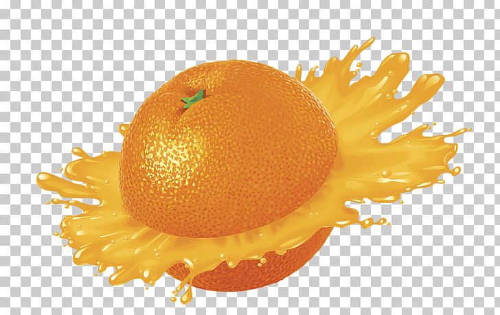 Orange Juice Smoothie Apple Juice PNG, Clipart, Citrus, Citrus Xd7 Sinensis, Drawing, Drink, Effect Free PNG Download