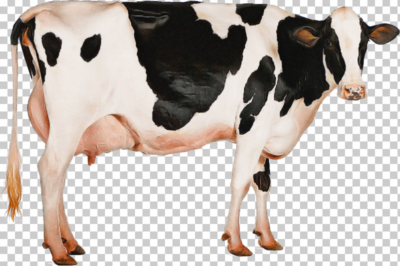 Holstein Friesian Cattle Jersey Cattle Milk Dairy Cattle Mastitis Control PNG, Clipart, Angus Cattle, Beef Cattle, Calf, Dairy, Dairy Cattle Free PNG Download