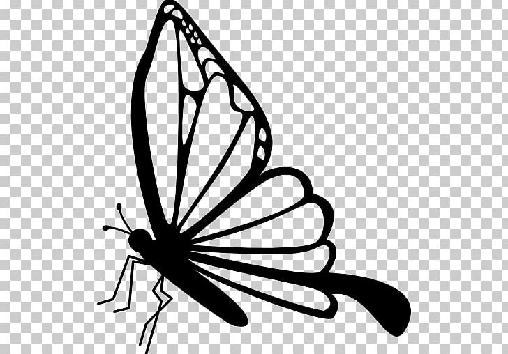 Butterfly Insect Drawing PNG, Clipart, Animal, Arthropod, Artwork, Black And White, Brush Footed Butterfly Free PNG Download