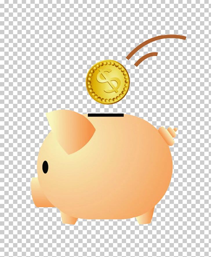 Domestic Pig Cat Cartoon PNG, Clipart, Animals, Cartoon Gold Coins, Cartoon Pig, Clip Art, Coins Free PNG Download