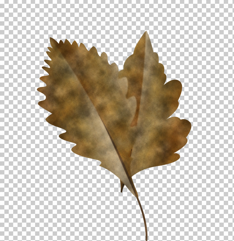 Leaf Root Red Maple Tree Autumn Leaf Color PNG, Clipart, Autumn Leaf, Autumn Leaf Color, Cartoon Leaf, Color, Fall Leaf Free PNG Download