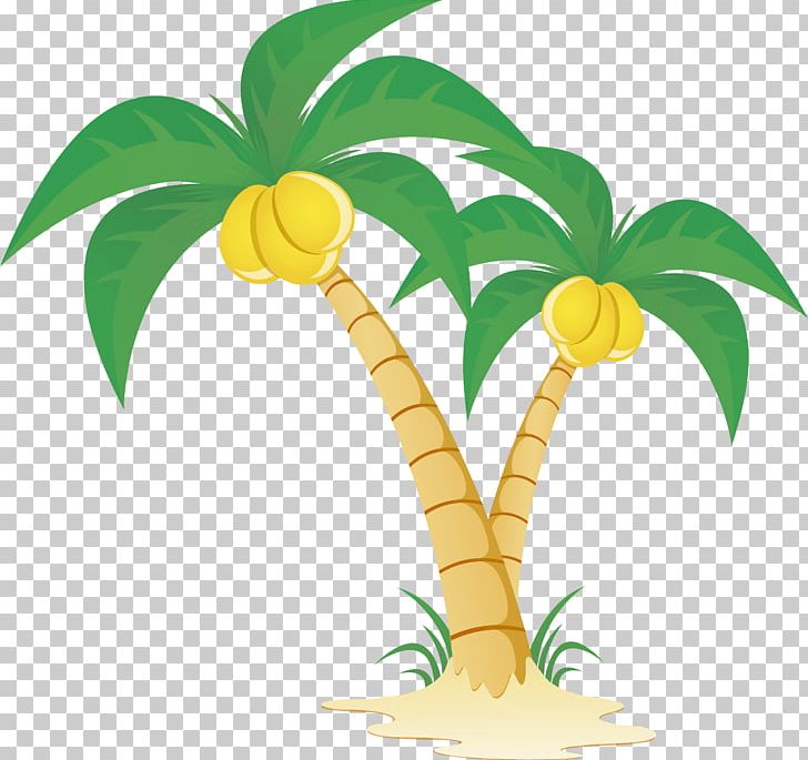 Arecaceae Tree PNG, Clipart, Beach, Branch, Christmas Tree, Coconut, Encapsulated Postscript Free PNG Download