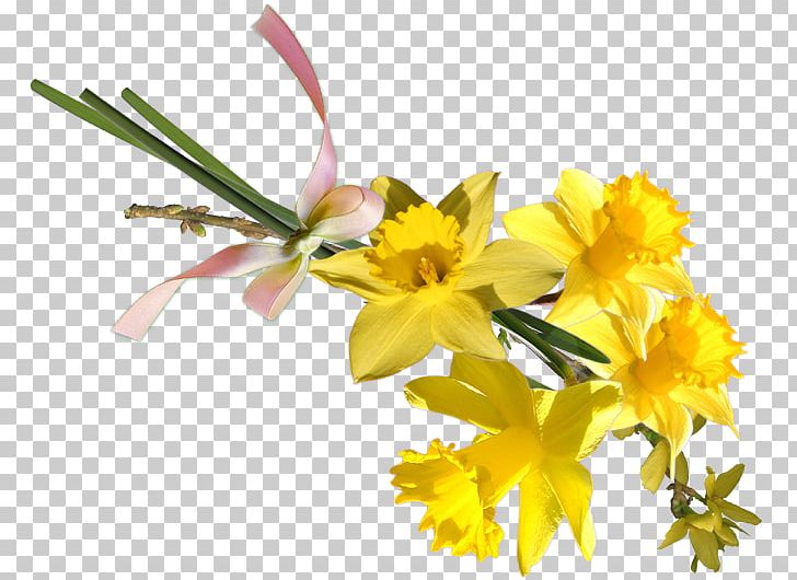 Floral Design Cut Flowers Plant Stem Petal PNG, Clipart, Art, Cut Flowers, Floral Design, Floristry, Flower Free PNG Download