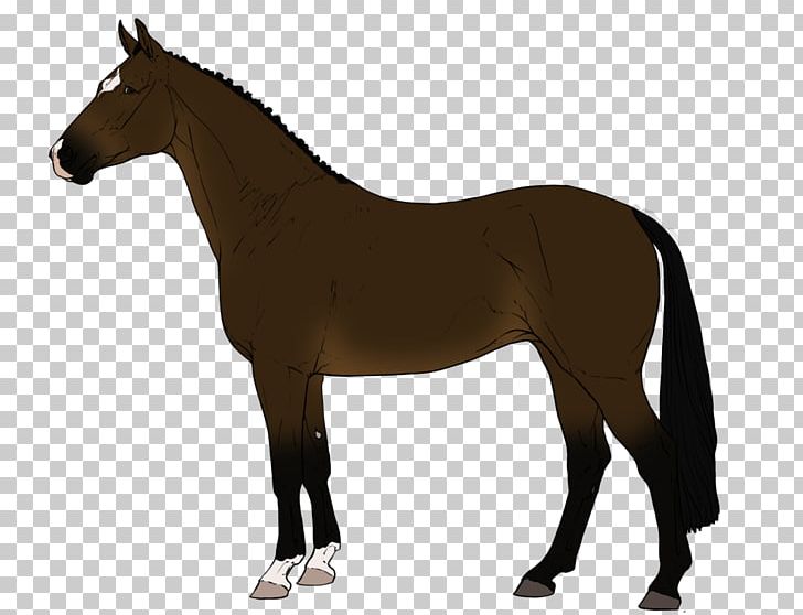 Lipizzan Pony Stallion Mustang Foal PNG, Clipart, Animal Figure, Breed, Bridle, Canter And Gallop, Colt Free PNG Download
