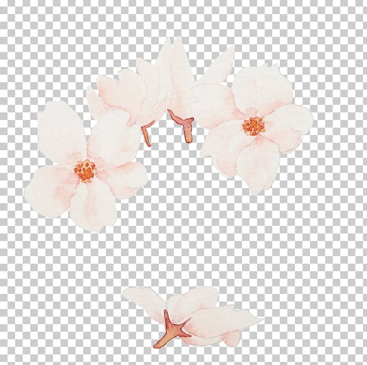 National Cherry Blossom Festival Vecteur PNG, Clipart, Blossom, Blossoms, Cerasus, Cherry, Cherry Blossom Free PNG Download
