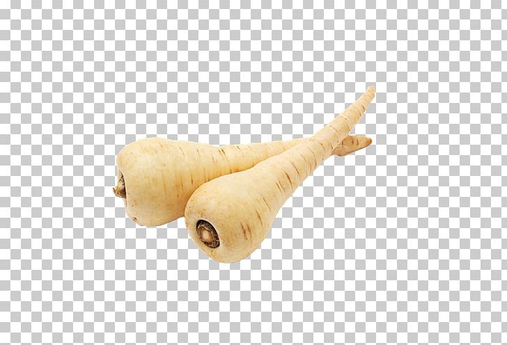 Organic Food Parsnip Vegetable PNG, Clipart, Carrot, Food, Fruit, Health, Health Food Free PNG Download