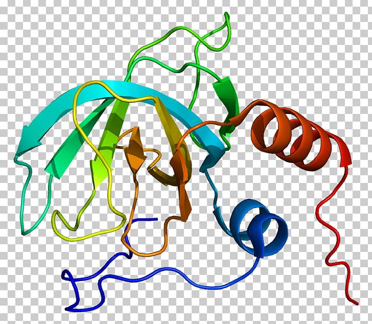 Wikimedia Commons Procollagen Peptidase Wikipedia PNG, Clipart, Area, Artwork, Gene, Line, Line Art Free PNG Download
