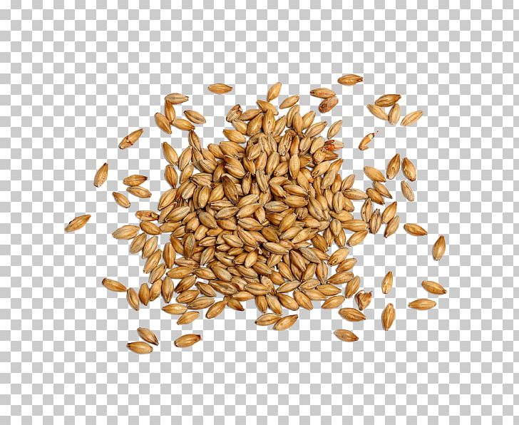 Beer Brewing Grains & Malts Cereal Brewery Food PNG, Clipart, Barley, Beer, Beer Brewing Grains Malts, Biscuit, Biscuits Free PNG Download