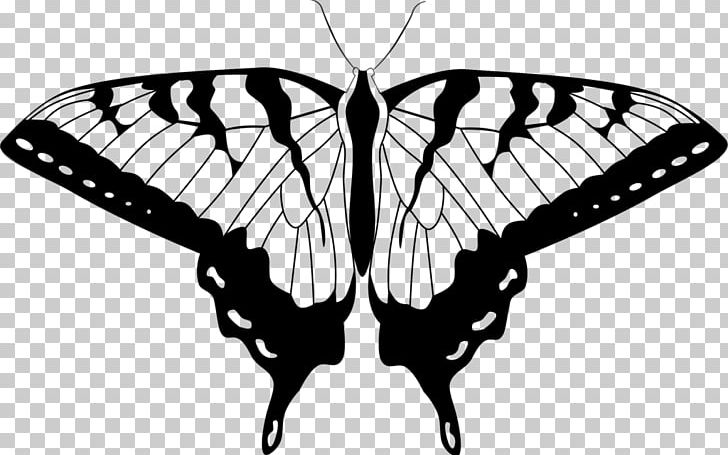 Butterfly PNG, Clipart, Arthropod, Black And White, Brush Footed Butterfly, Butterflies And Moths, Butterfly Free PNG Download