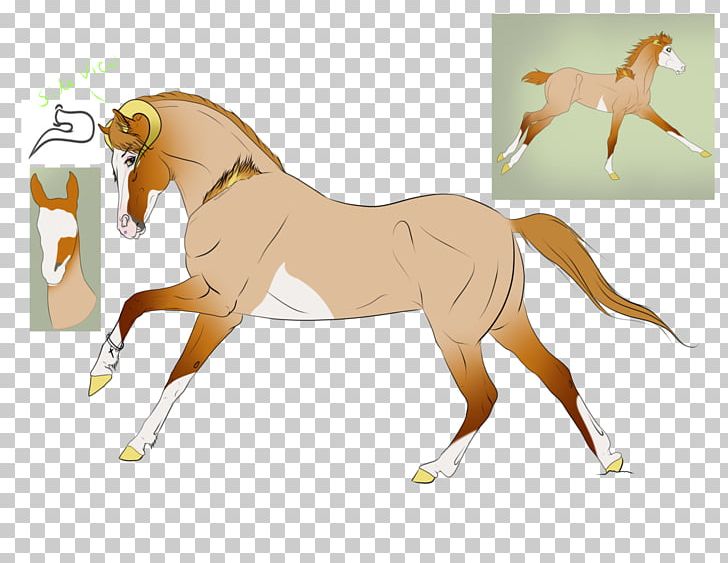 Foal Mane Stallion Mustang Colt PNG, Clipart, Animal, Animal Figure, Bridle, Cartoon, Colt Free PNG Download