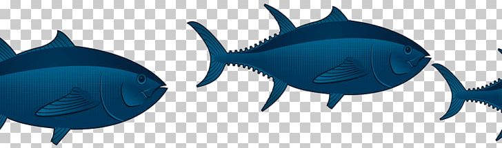 Requiem Sharks Marine Mammal Tuna Marine Biology Fish PNG, Clipart, Animal, Animal Figure, Biology, Blue, Cartilaginous Fish Free PNG Download