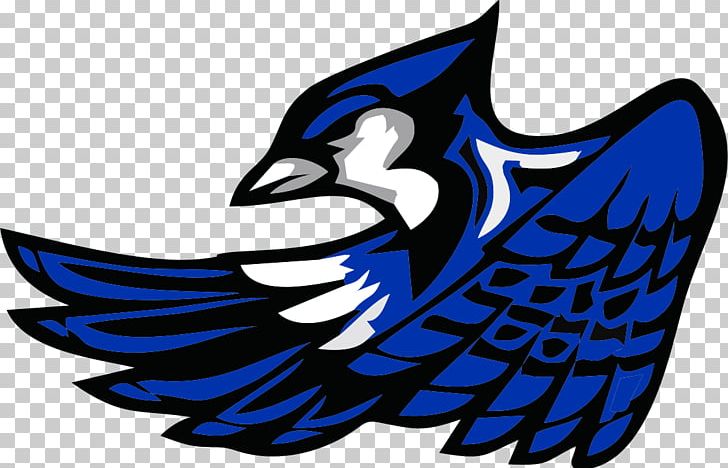 Toronto Blue Jays Snook I.S.D Johns Hopkins University National Secondary School PNG, Clipart, Artwork, Beak, Bird, Blue Jay, Fictional Character Free PNG Download