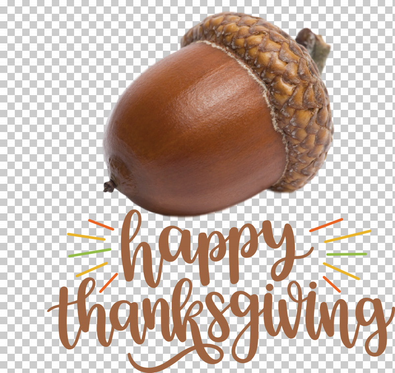 Happy Thanksgiving Thanksgiving Day Thanksgiving PNG, Clipart, Acorn, Happy Thanksgiving, Ingredient, Nut, Seed Free PNG Download