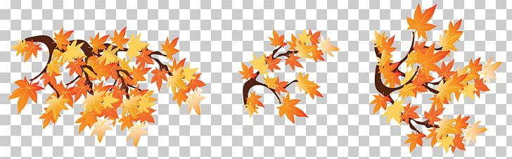 Autumn Branch PNG, Clipart, Autumn, Autumn Leaf Color, Branch, Branches, Clipart Free PNG Download