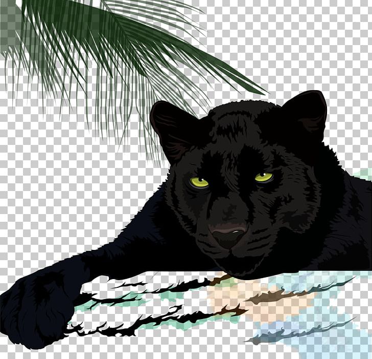 Black Panther Cougar Leopard Jaguar Cheetah PNG, Clipart, Animals, Background Black, Big Cat, Big Cats, Black Free PNG Download