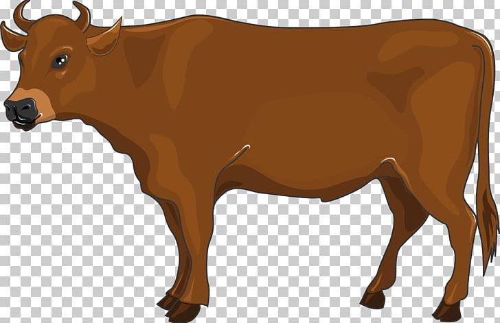 Dairy Cattle Ox Calf Beef Cattle Bull PNG, Clipart, Animal, Animal Figure, Beef, Beef Cattle, Bull Free PNG Download